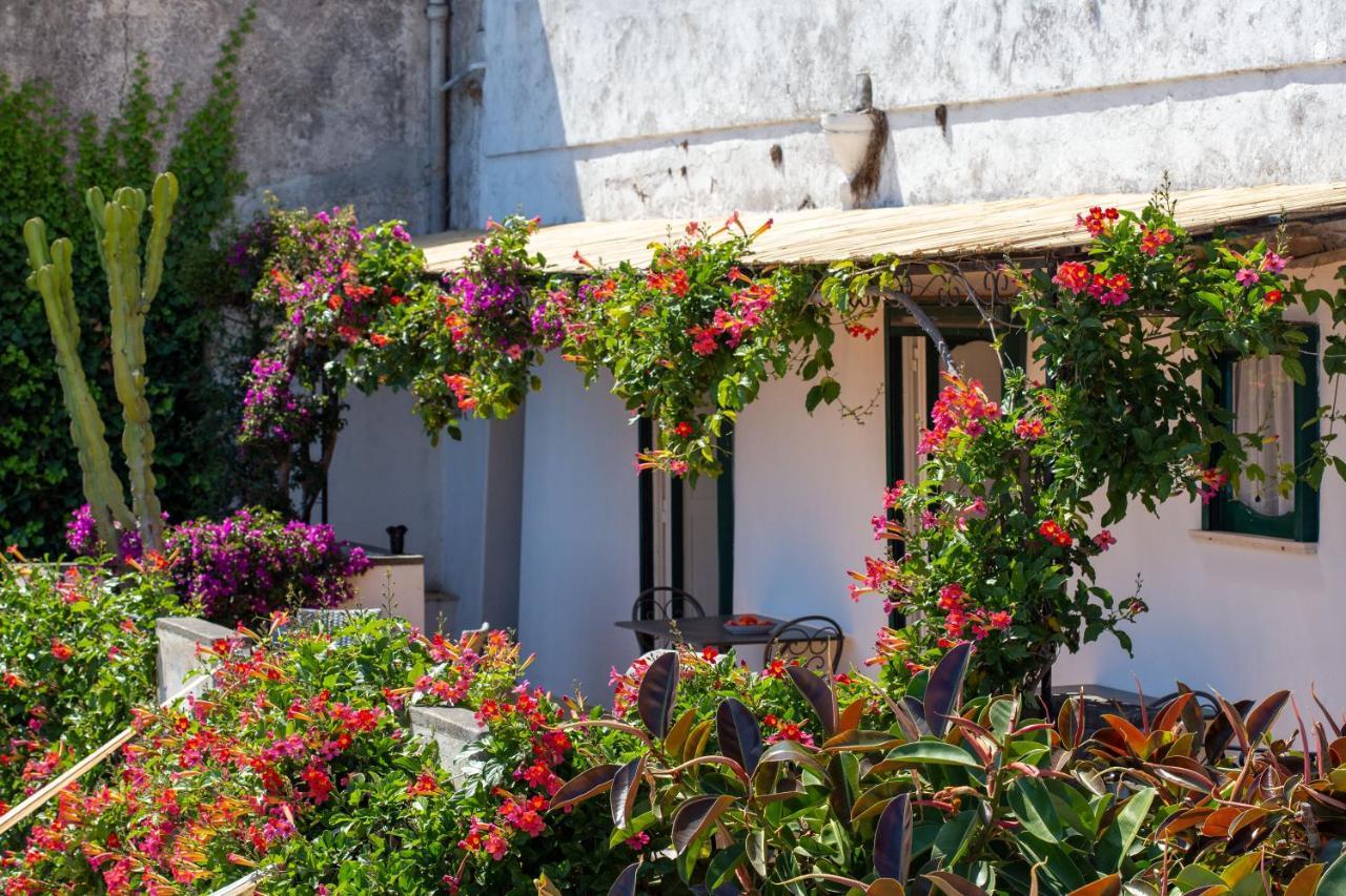 Il Pettirosso In Positano Villa Eksteriør billede