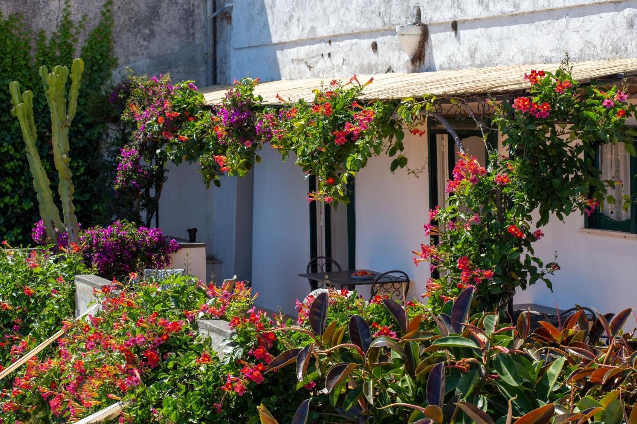 Il Pettirosso In Positano Villa Eksteriør billede