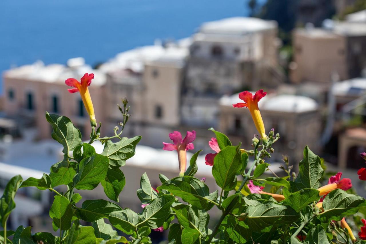 Il Pettirosso In Positano Villa Eksteriør billede